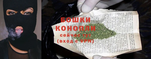 бошки Аркадак