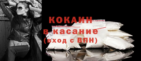 твердый Арсеньев