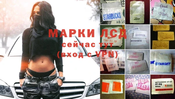 твердый Арсеньев