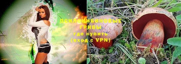 стафф Армянск