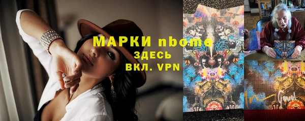 твердый Арсеньев