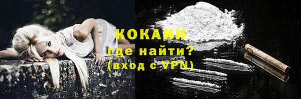 твердый Арсеньев